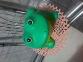 Sapo de gesso